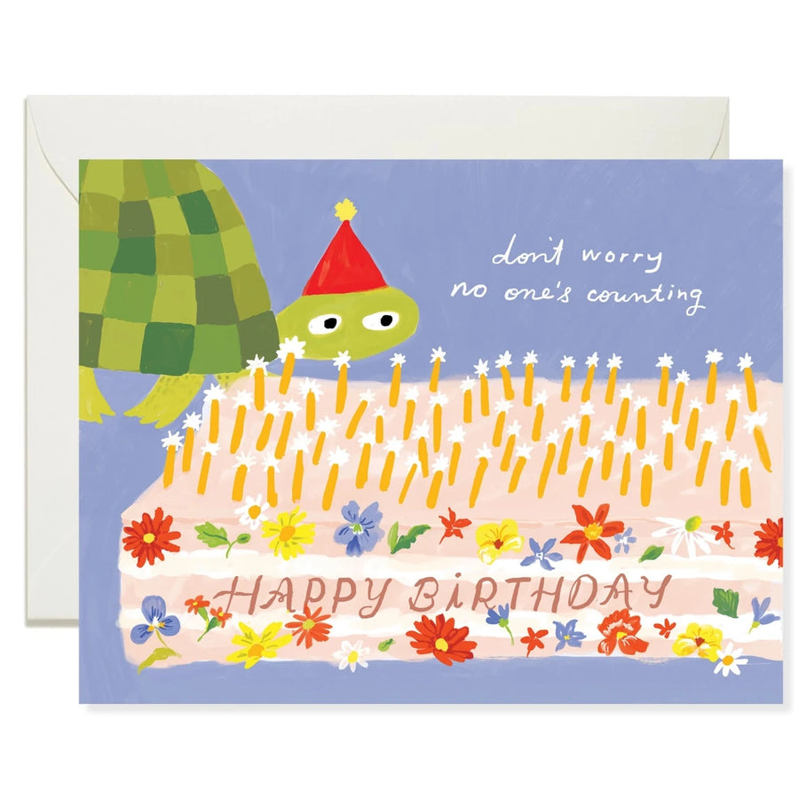 No One's Counting Turtle Birthday Card